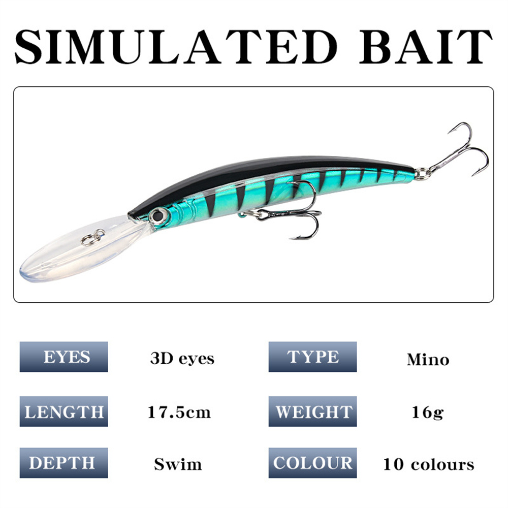 Lange Tong Minnow Vissen Lokke - Fishing Lure Jerkbait recensie en prijs